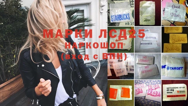 гидра Новодвинск