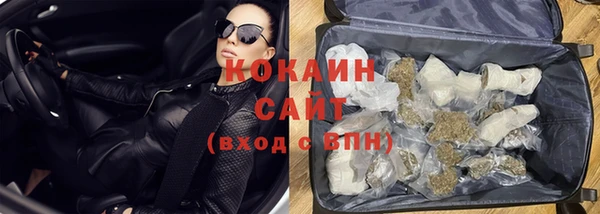 гидра Новодвинск