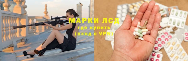 гидра Новодвинск