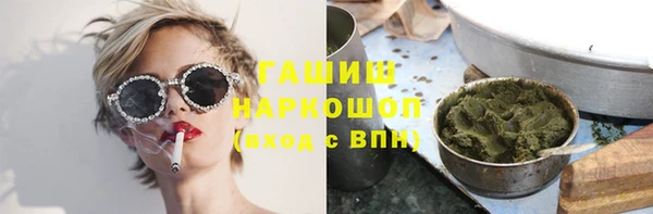 гидра Новодвинск