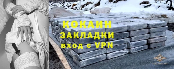 гидра Новодвинск