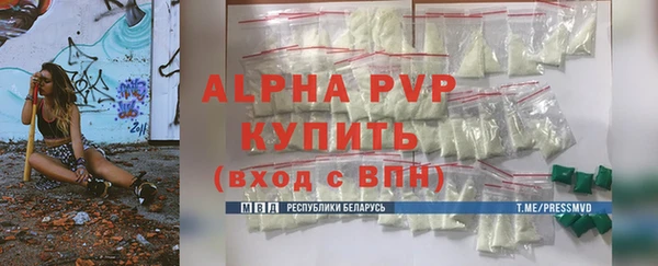 гидра Новодвинск