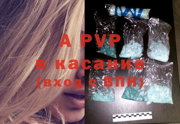 гидра Новодвинск